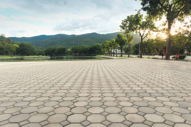 Best Professional Driveway Pavers  in Canaan, CT